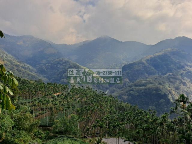 嘉義梅山農地-4