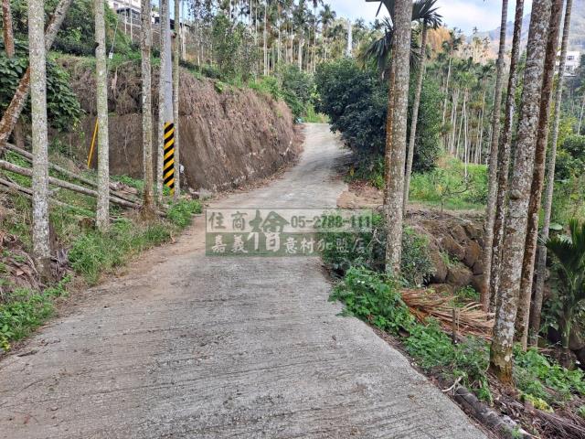 嘉義梅山農地-5