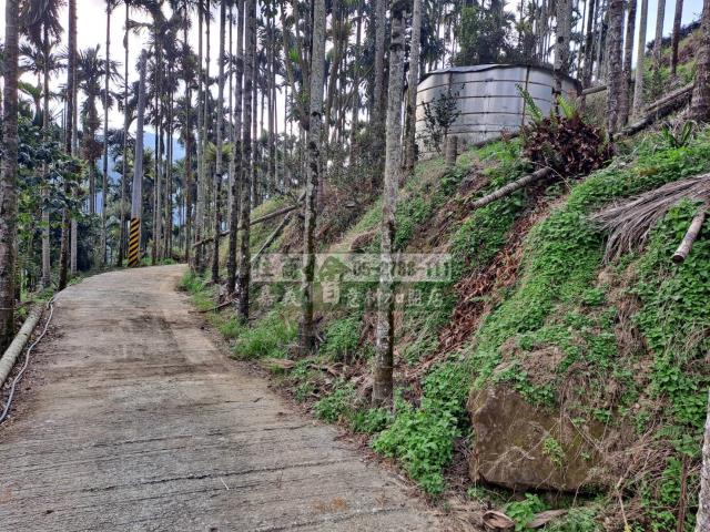 嘉義梅山農地-7