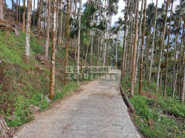 嘉義梅山農地-8