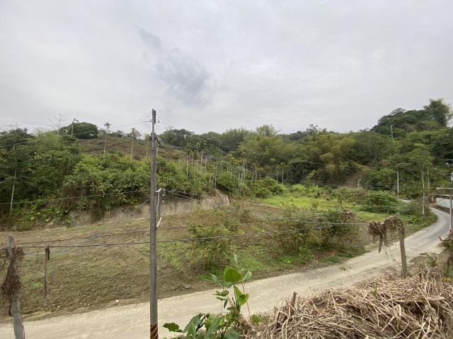 南投中寮農地-3
