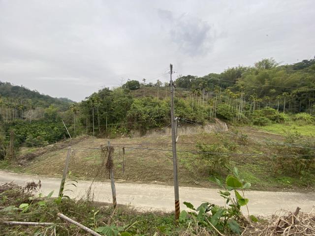 南投中寮農地-5