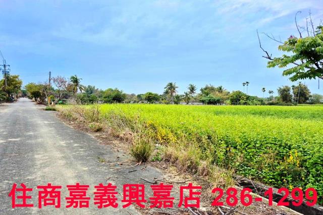 嘉義水上農地-10