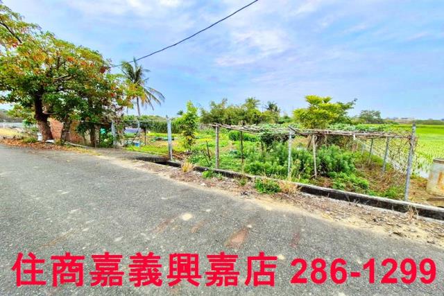 嘉義水上農地-1