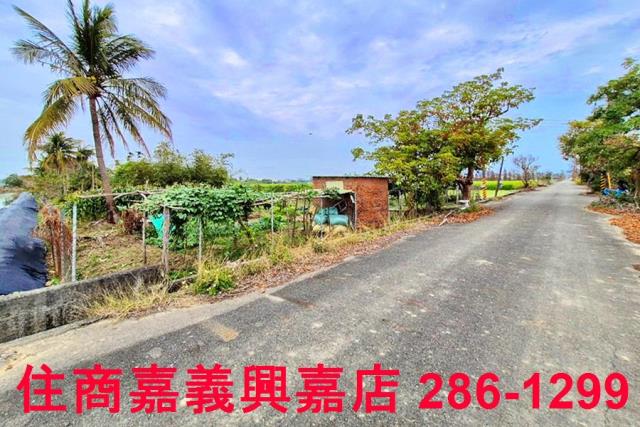 嘉義水上農地-2