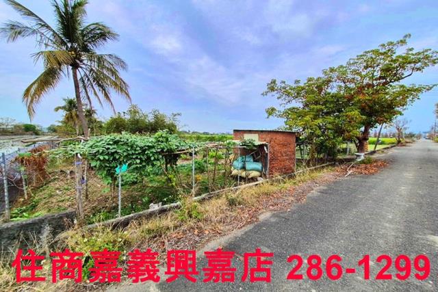 嘉義水上農地-3