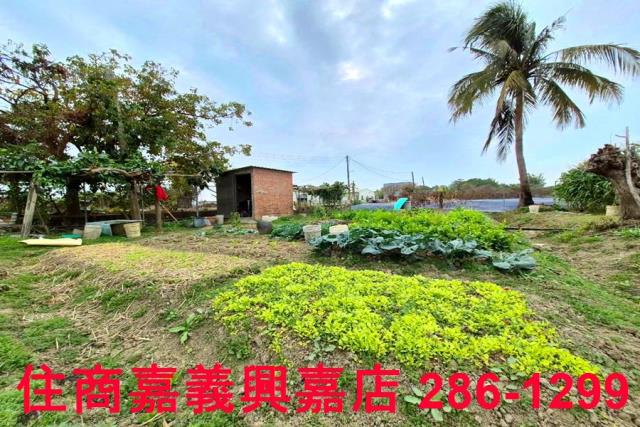 嘉義水上農地-4