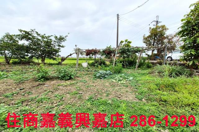 嘉義水上農地-5