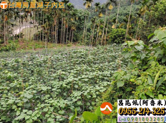 嘉義農地-5
