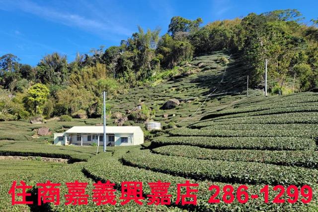 嘉義梅山農地-4