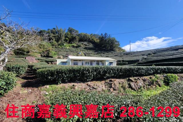 嘉義梅山農地-5