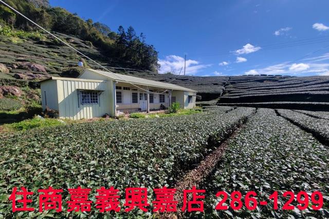 嘉義梅山農地-6