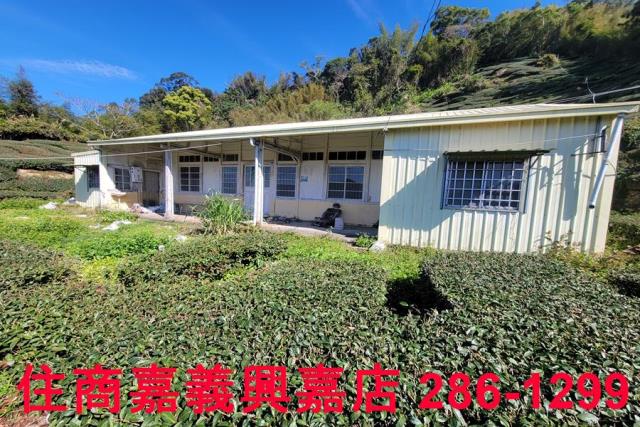 嘉義梅山農地-7