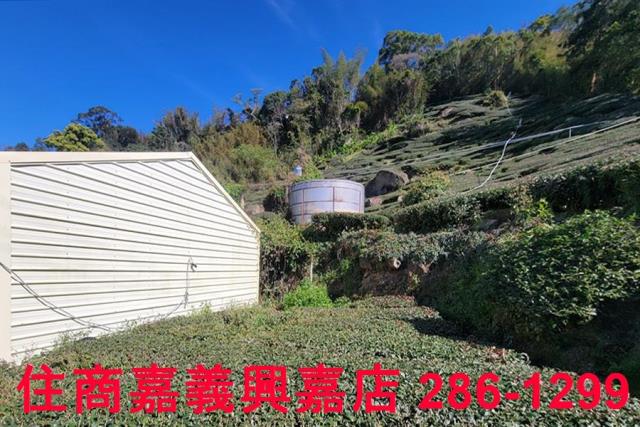 嘉義梅山農地-8