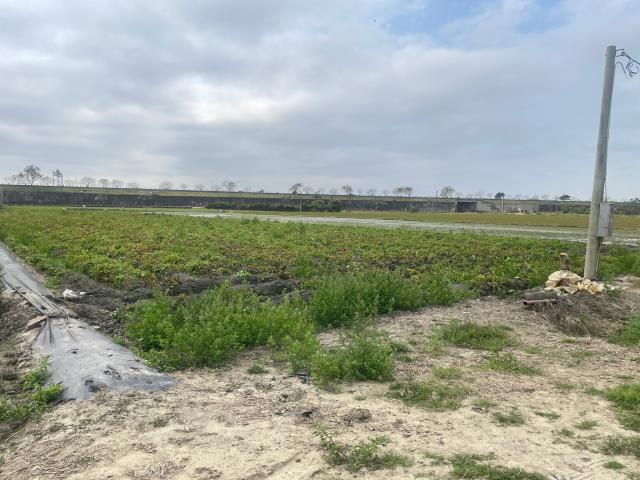 嘉義水上農地-1