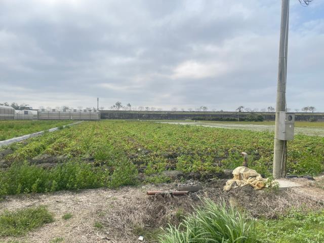 嘉義水上農地-2