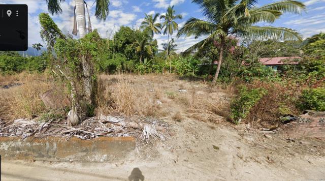 嘉義建地法拍-1