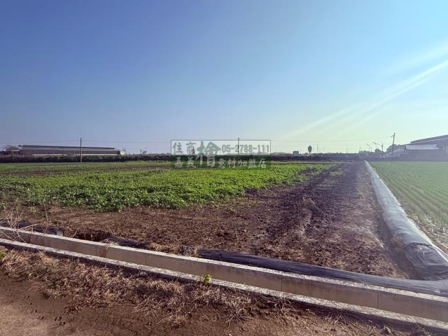 嘉義農地-8