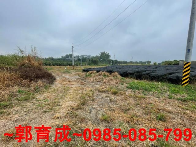 嘉義農地-9