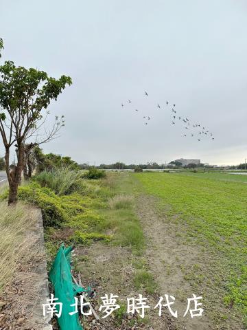 太保農地-8