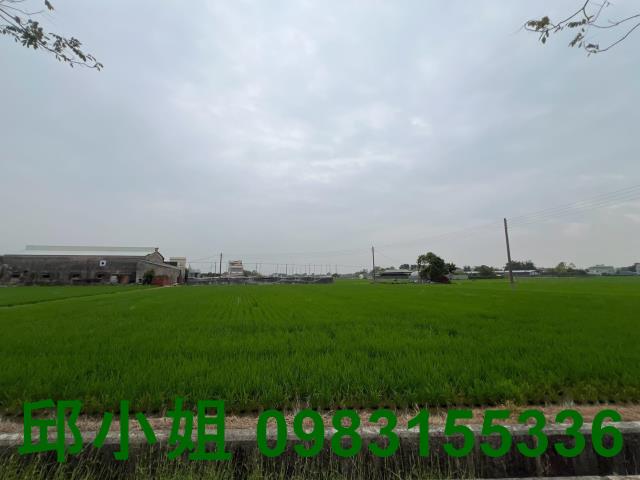 嘉義水上農地-1