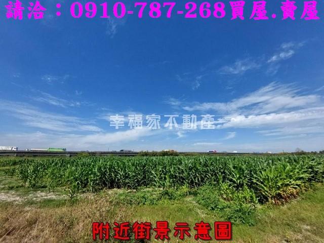 新市農地-7
