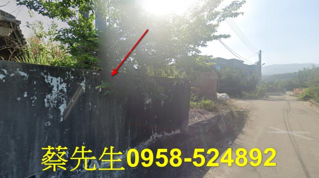 苑裡法拍建地-4
