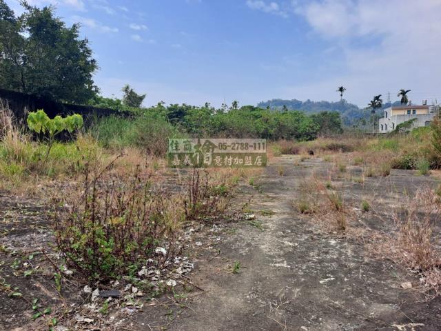 嘉義梅山農地-1