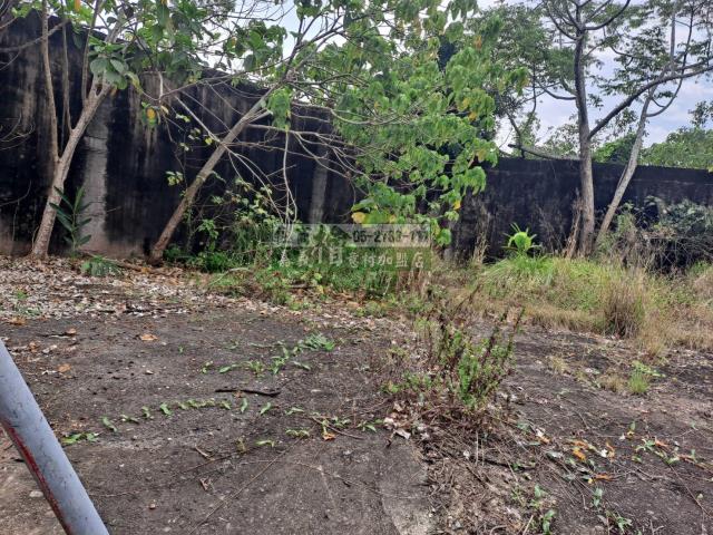 嘉義梅山農地-2