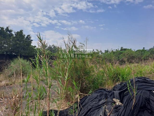 嘉義梅山農地-3