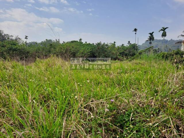 嘉義梅山農地-6