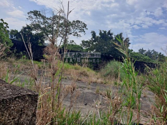 嘉義梅山農地-8