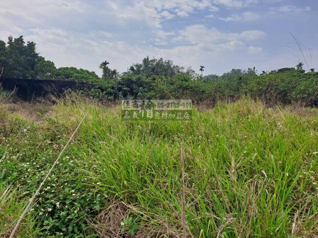 嘉義梅山農地-9