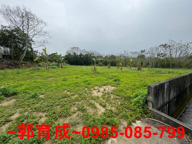 嘉義中埔農地-1