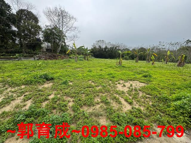 嘉義中埔農地-3