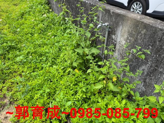 嘉義中埔農地-5