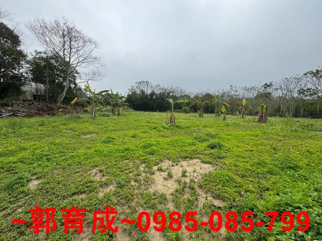 嘉義中埔農地-6