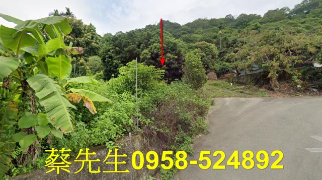 台中法拍農地-15