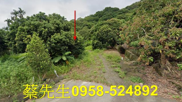台中法拍農地-5