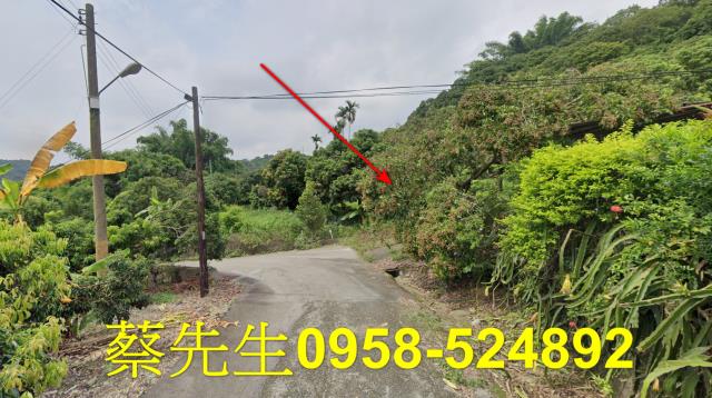 台中法拍農地-6