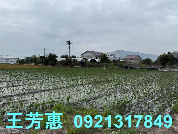 后里農地-1