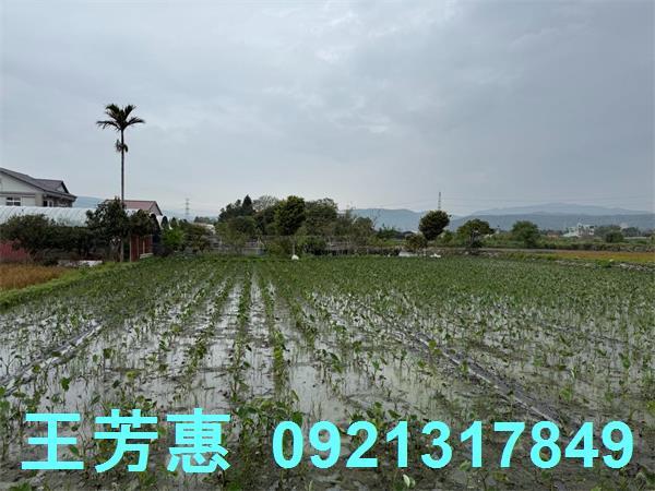 后里農地-7