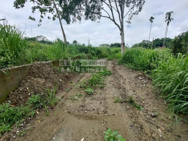 中埔農地-10