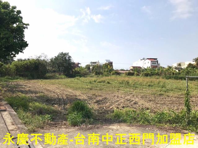 台南白河農地-1