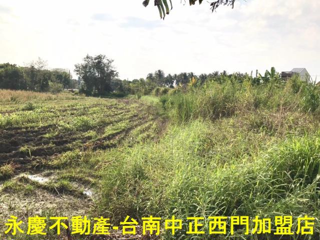 台南白河農地-2