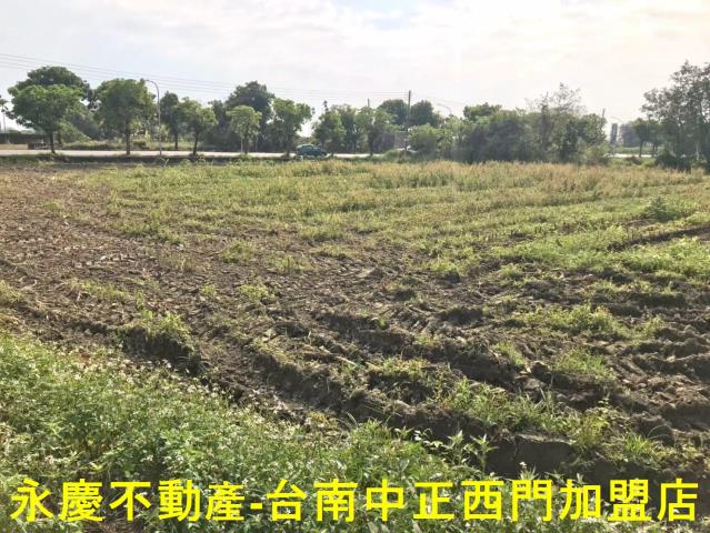 台南白河農地-4