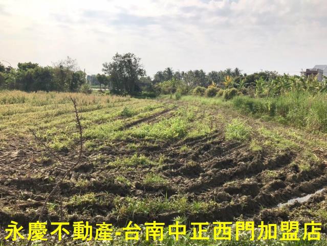 台南白河農地-5