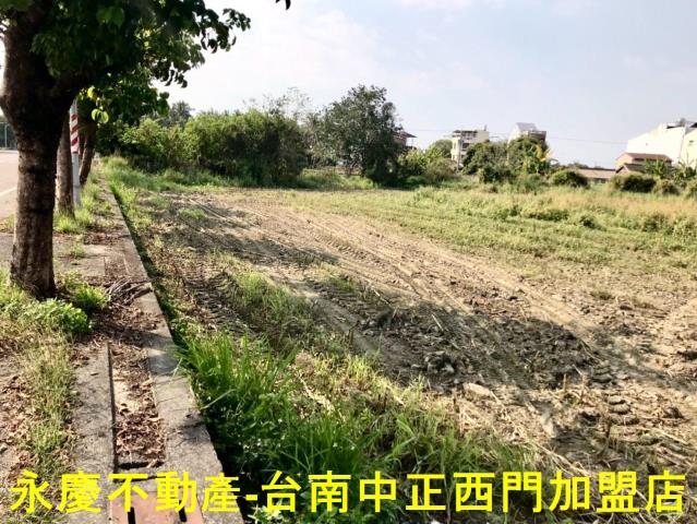 台南白河農地-6