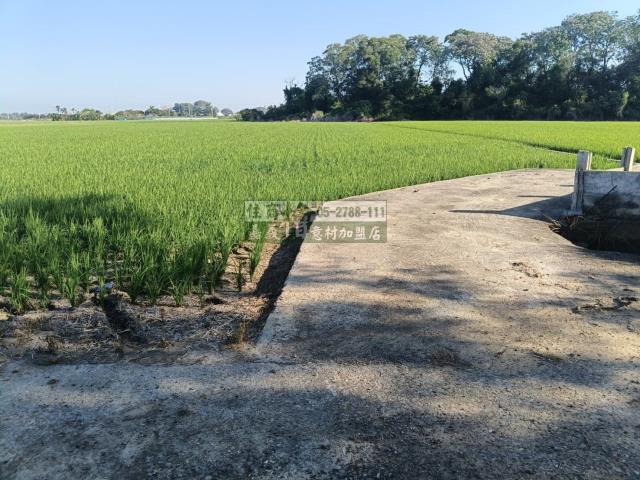 嘉義農地-1