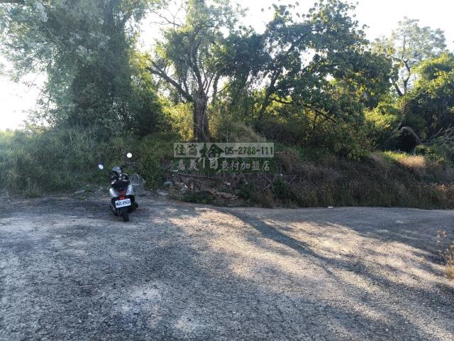 嘉義農地-8